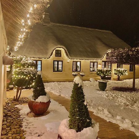 Mindedalen - Idyl Taet Pa Alt Og Helt I Fred Lägenhet Billum Exteriör bild