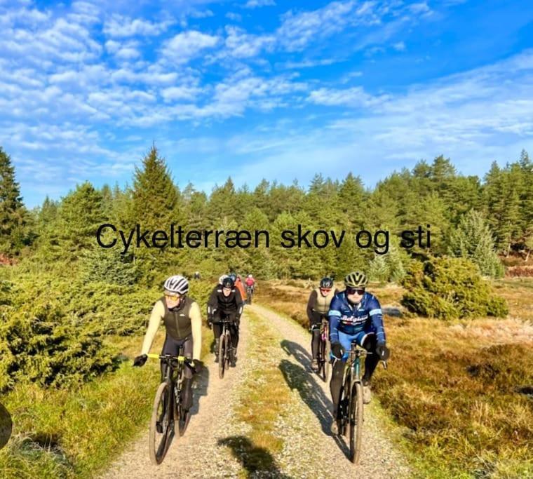 Mindedalen - Idyl Taet Pa Alt Og Helt I Fred Lägenhet Billum Exteriör bild