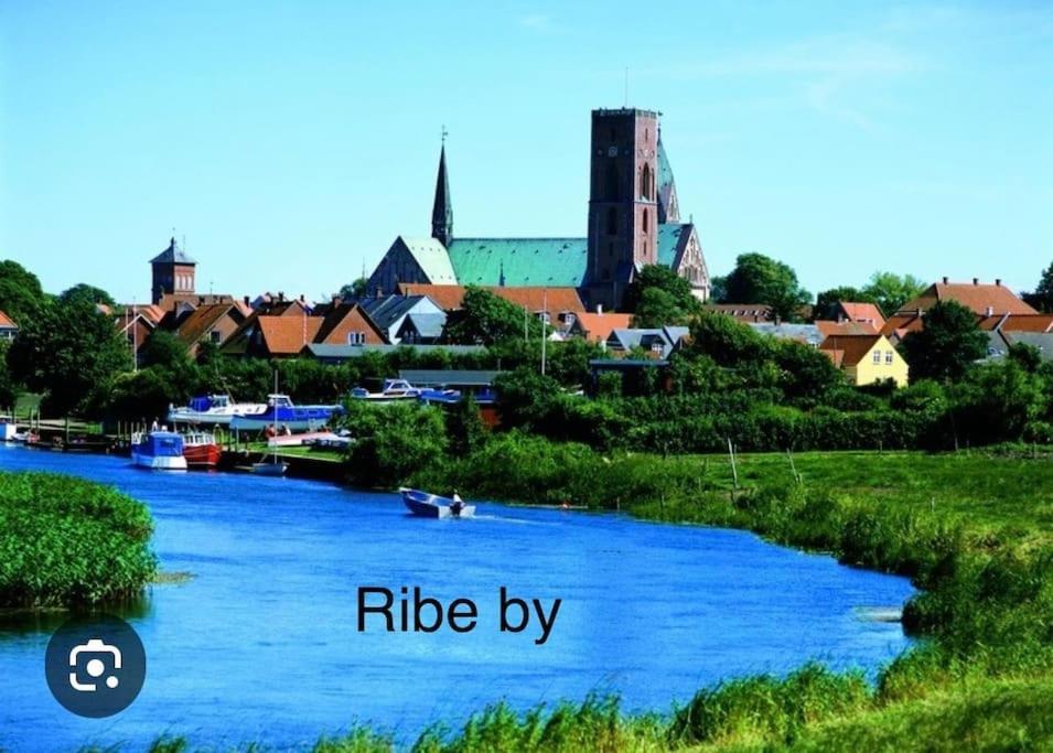 Mindedalen - Idyl Taet Pa Alt Og Helt I Fred Lägenhet Billum Exteriör bild