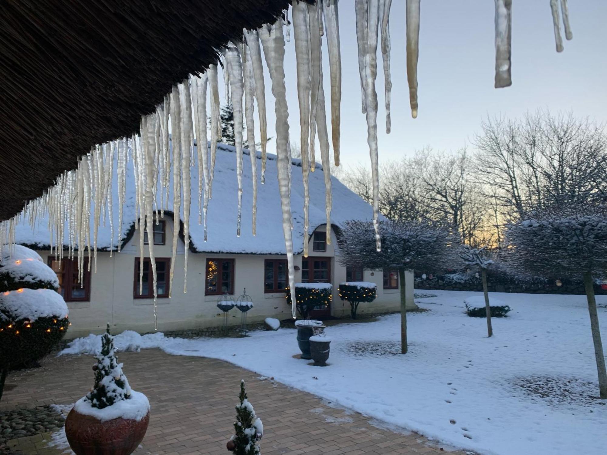 Mindedalen - Idyl Taet Pa Alt Og Helt I Fred Lägenhet Billum Exteriör bild