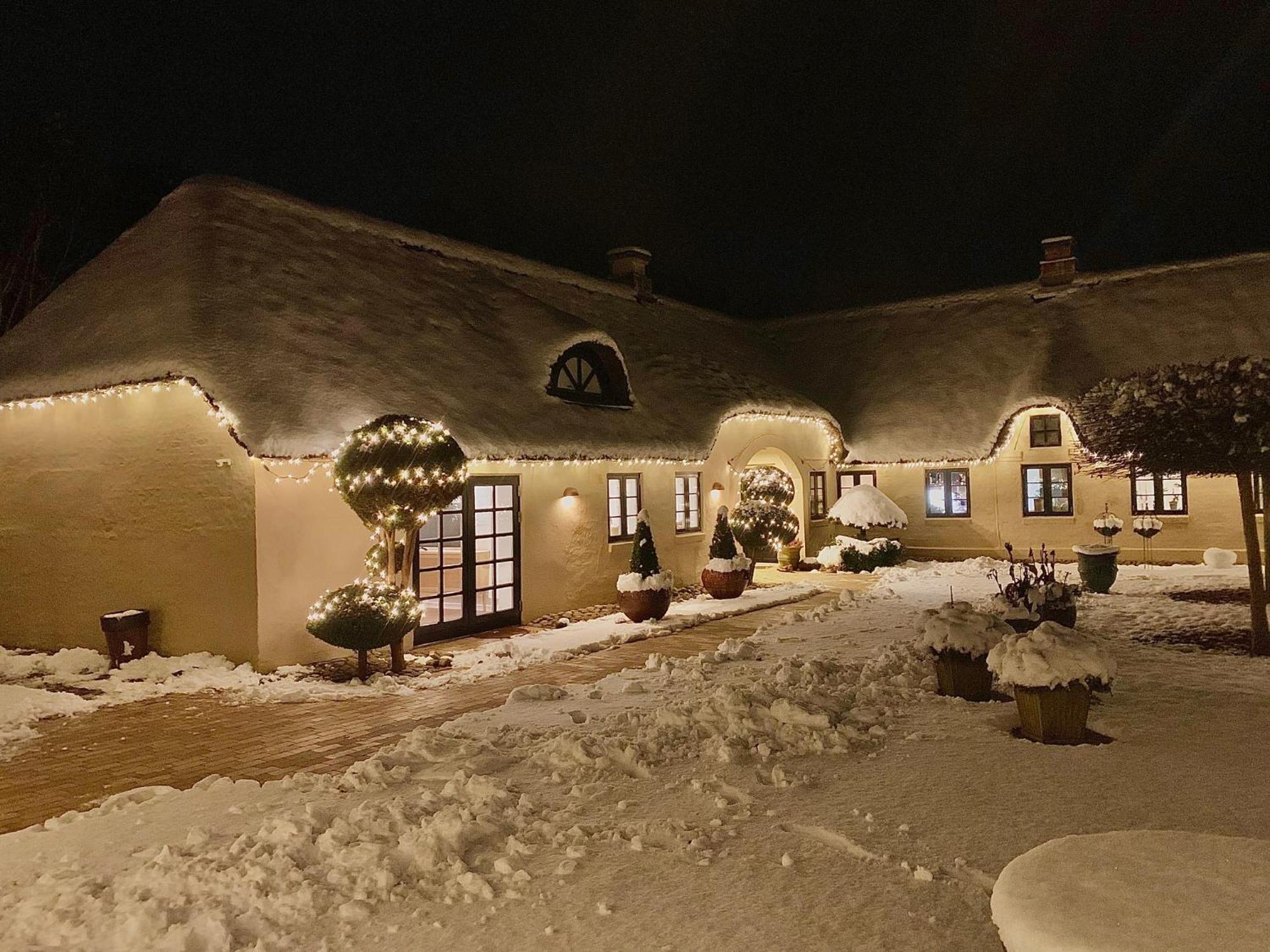 Mindedalen - Idyl Taet Pa Alt Og Helt I Fred Lägenhet Billum Exteriör bild