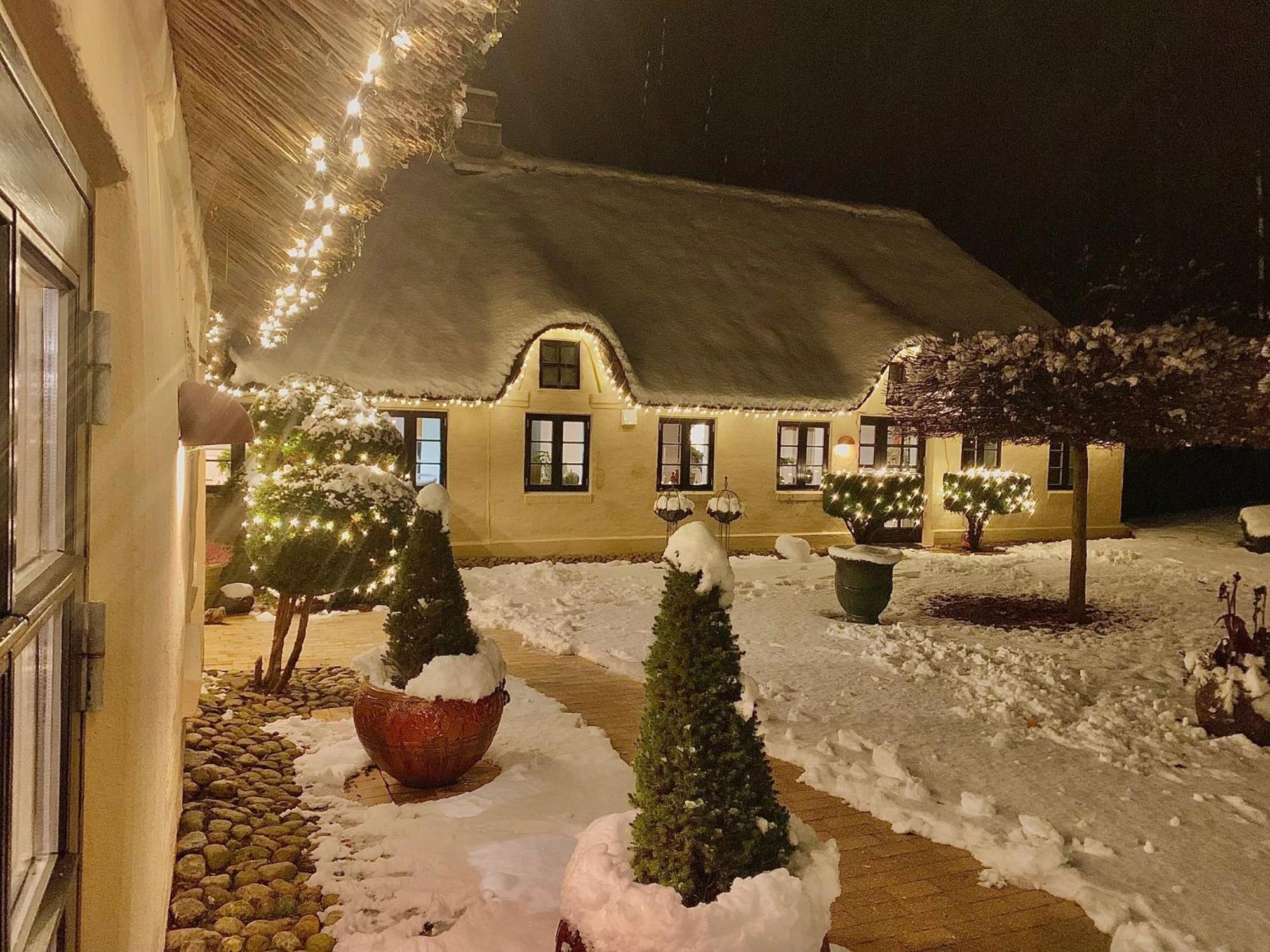 Mindedalen - Idyl Taet Pa Alt Og Helt I Fred Lägenhet Billum Exteriör bild