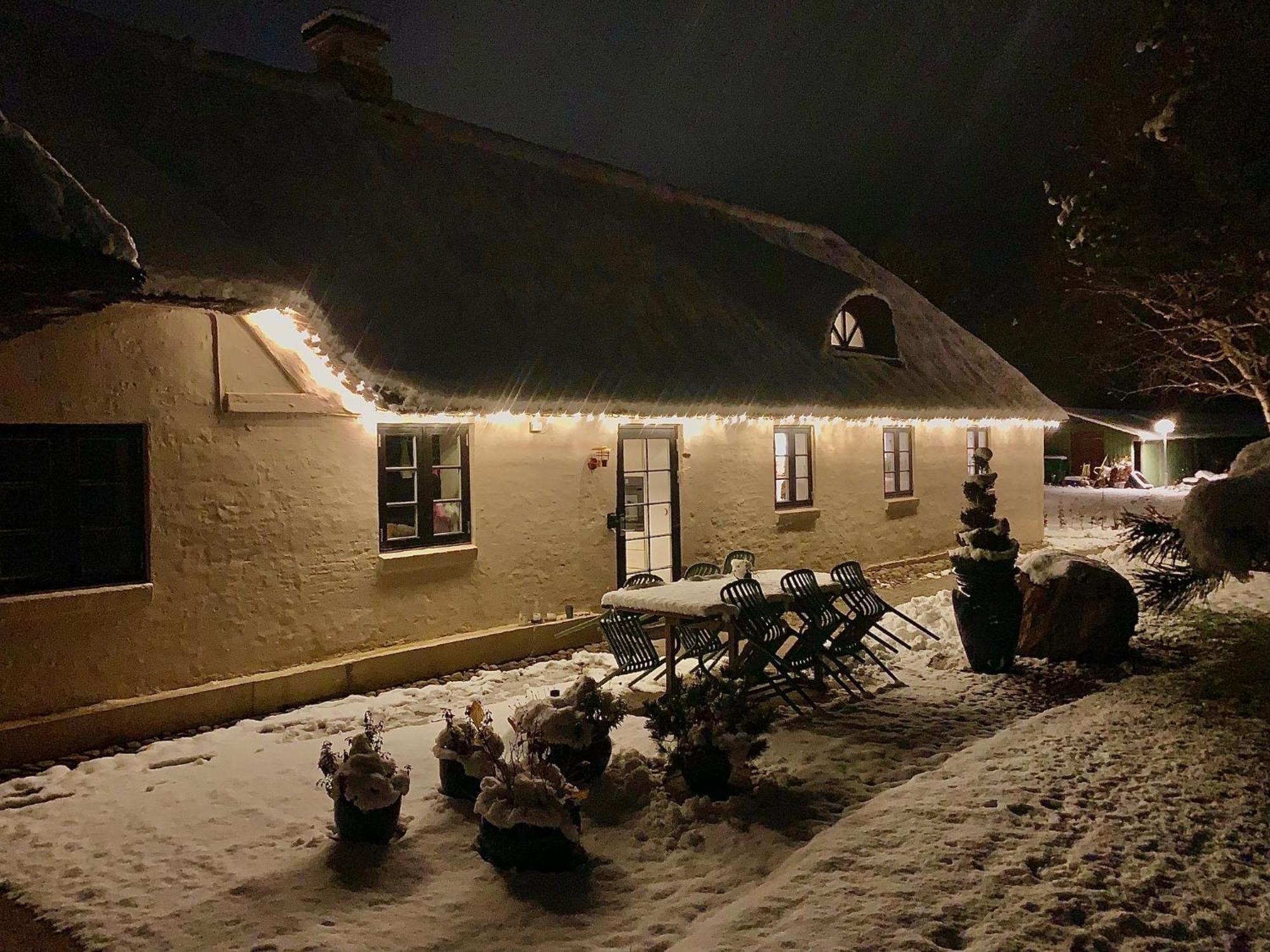 Mindedalen - Idyl Taet Pa Alt Og Helt I Fred Lägenhet Billum Exteriör bild
