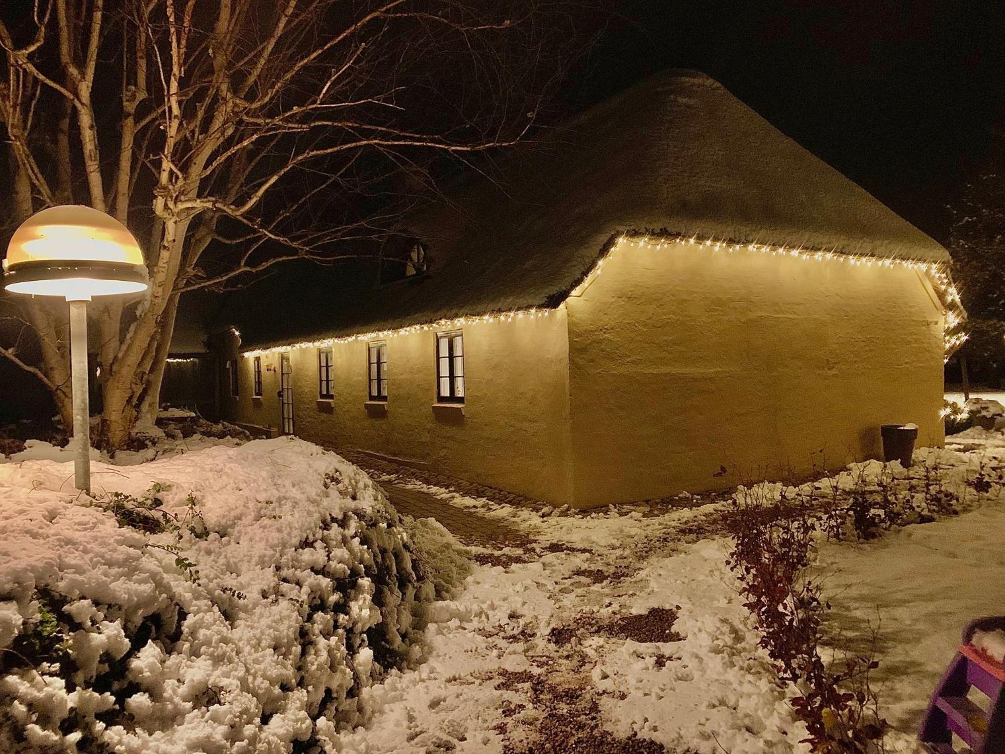 Mindedalen - Idyl Taet Pa Alt Og Helt I Fred Lägenhet Billum Exteriör bild